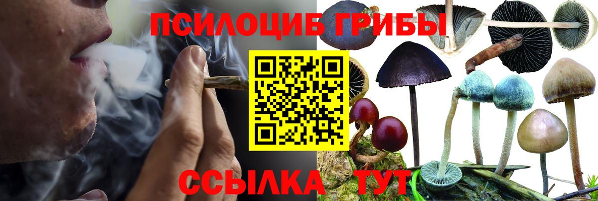 Егорьевск  Псилоцибиновые грибы GOLDEN TEACHER  наркошоп  Вход с VPN 